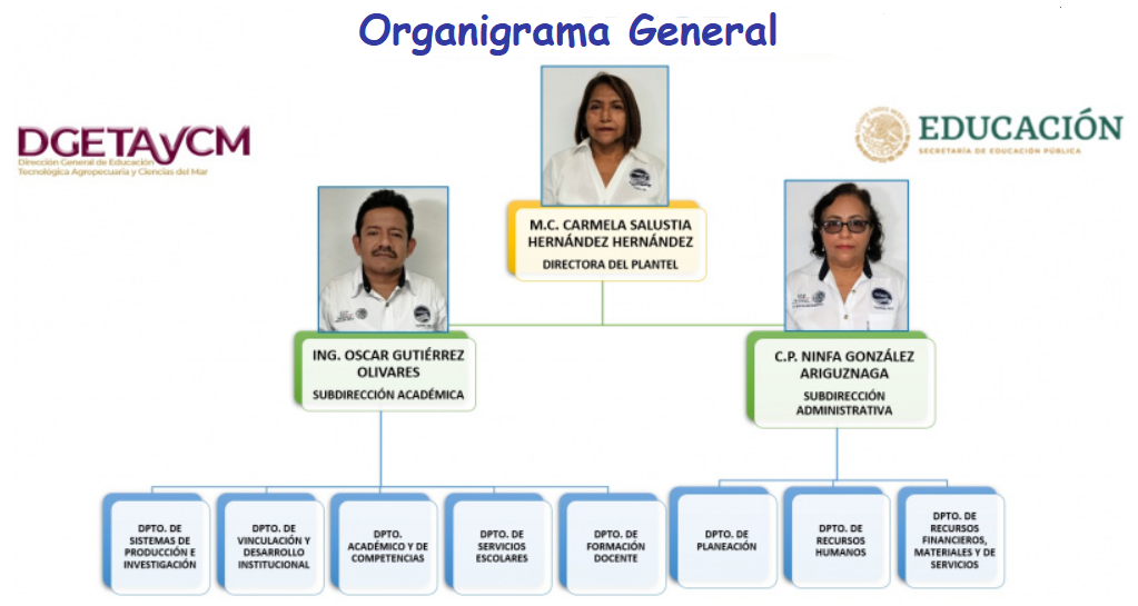 Centro De Estudios Tecnológicos Del Mar No 20 cetmar20.edu.mx